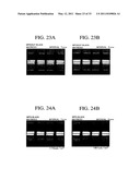 LIQUID CRYSTAL DISPLAY DEVICE diagram and image