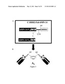 Multivalent Immunoglobulin-Based Bioactive Assemblies diagram and image