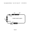 Multivalent Immunoglobulin-Based Bioactive Assemblies diagram and image