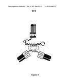 Multivalent Immunoglobulin-Based Bioactive Assemblies diagram and image