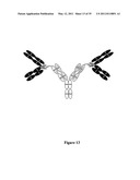 Multivalent Immunoglobulin-Based Bioactive Assemblies diagram and image