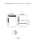 Multivalent Immunoglobulin-Based Bioactive Assemblies diagram and image