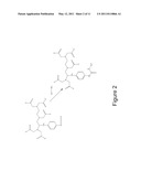 Elastin-like polypeptide and gadolinium conjugate for magnetic resonance imaging diagram and image