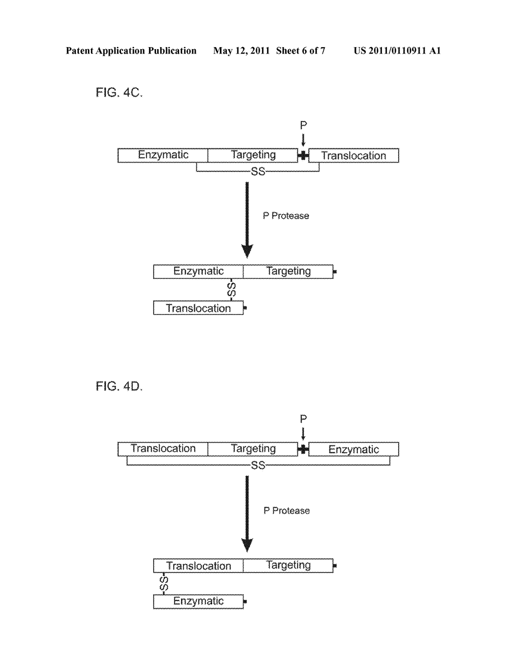 Methods of Treating Cancer Using Tachykinin Retargeted Endopepidases - diagram, schematic, and image 07