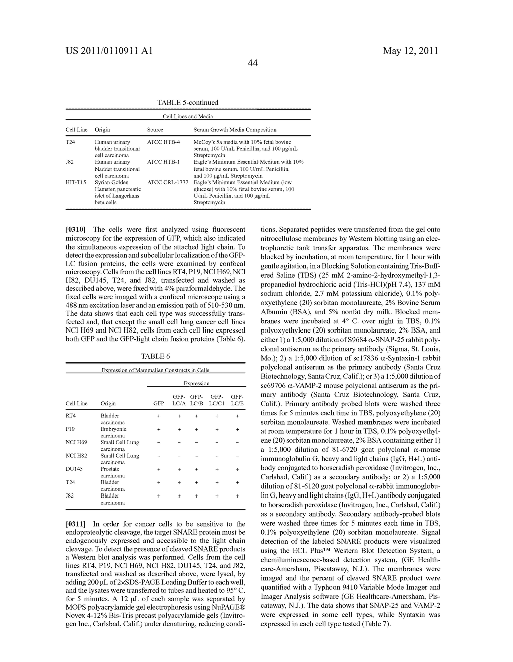 Methods of Treating Cancer Using Tachykinin Retargeted Endopepidases - diagram, schematic, and image 52