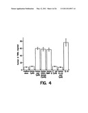 Human Aminoacyl-tRNA Synthetase Polypeptides Useful For The Regulation of Angiogenesis diagram and image