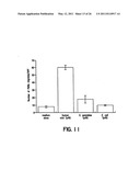 Human Aminoacyl-tRNA Synthetase Polypeptides Useful For The Regulation of Angiogenesis diagram and image