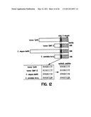 Human Aminoacyl-tRNA Synthetase Polypeptides Useful For The Regulation of Angiogenesis diagram and image