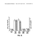 Human Aminoacyl-tRNA Synthetase Polypeptides Useful For The Regulation of Angiogenesis diagram and image