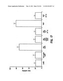 Human Aminoacyl-tRNA Synthetase Polypeptides Useful For The Regulation of Angiogenesis diagram and image