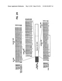 Human Aminoacyl-tRNA Synthetase Polypeptides Useful For The Regulation of Angiogenesis diagram and image