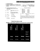 Methods for Detecting and Monitoring Circulating Cancer Stem Cells diagram and image