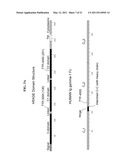 Immunoglobulin Fusion Proteins and Methods of Making diagram and image