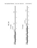 Immunoglobulin Fusion Proteins and Methods of Making diagram and image