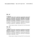 Immunoglobulin Fusion Proteins and Methods of Making diagram and image