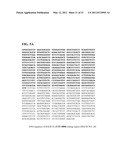 Immunoglobulin Fusion Proteins and Methods of Making diagram and image