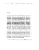 Immunoglobulin Fusion Proteins and Methods of Making diagram and image