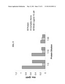 Immunoglobulin Fusion Proteins and Methods of Making diagram and image