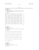 Immunoglobulin Fusion Proteins and Methods of Making diagram and image