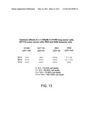 COMPOSITIONS AND METHODS FOR THE TREATMENT OF NEOPLASIA diagram and image