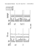 COMPOSITIONS AND METHODS FOR THE TREATMENT OF NEOPLASIA diagram and image