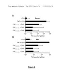 Novel Immunoadjuvant Flagellin-Based Compounds and Use Thereof diagram and image