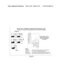 COMPOSITIONS THAT INDUCE T CELL HELP diagram and image