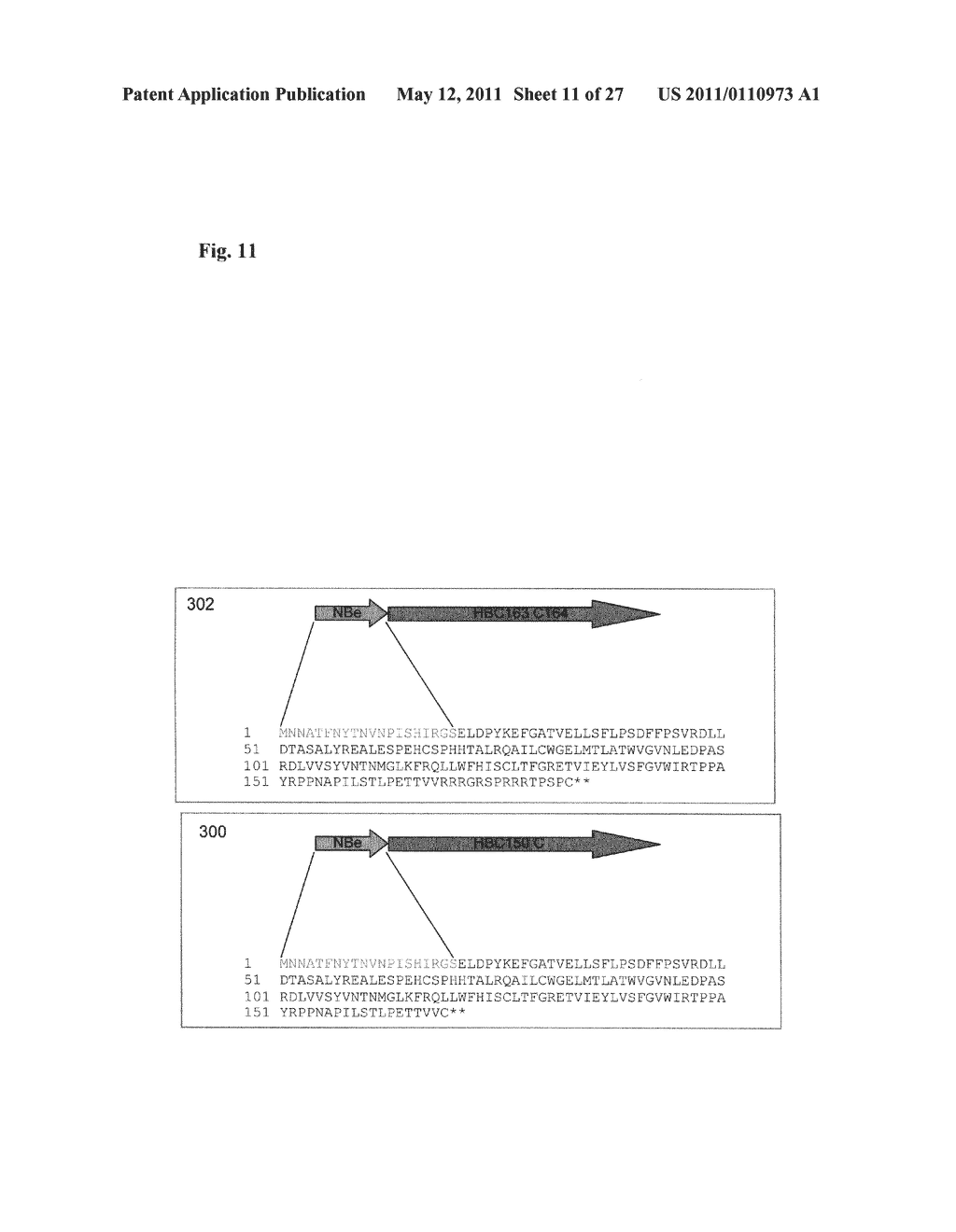 Influenza B Vaccines - diagram, schematic, and image 12