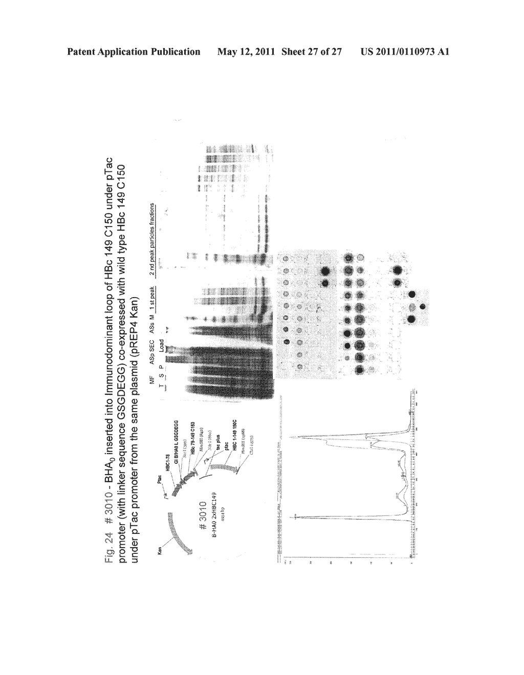 Influenza B Vaccines - diagram, schematic, and image 28