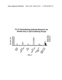 Multiclade HIV Vaccines diagram and image