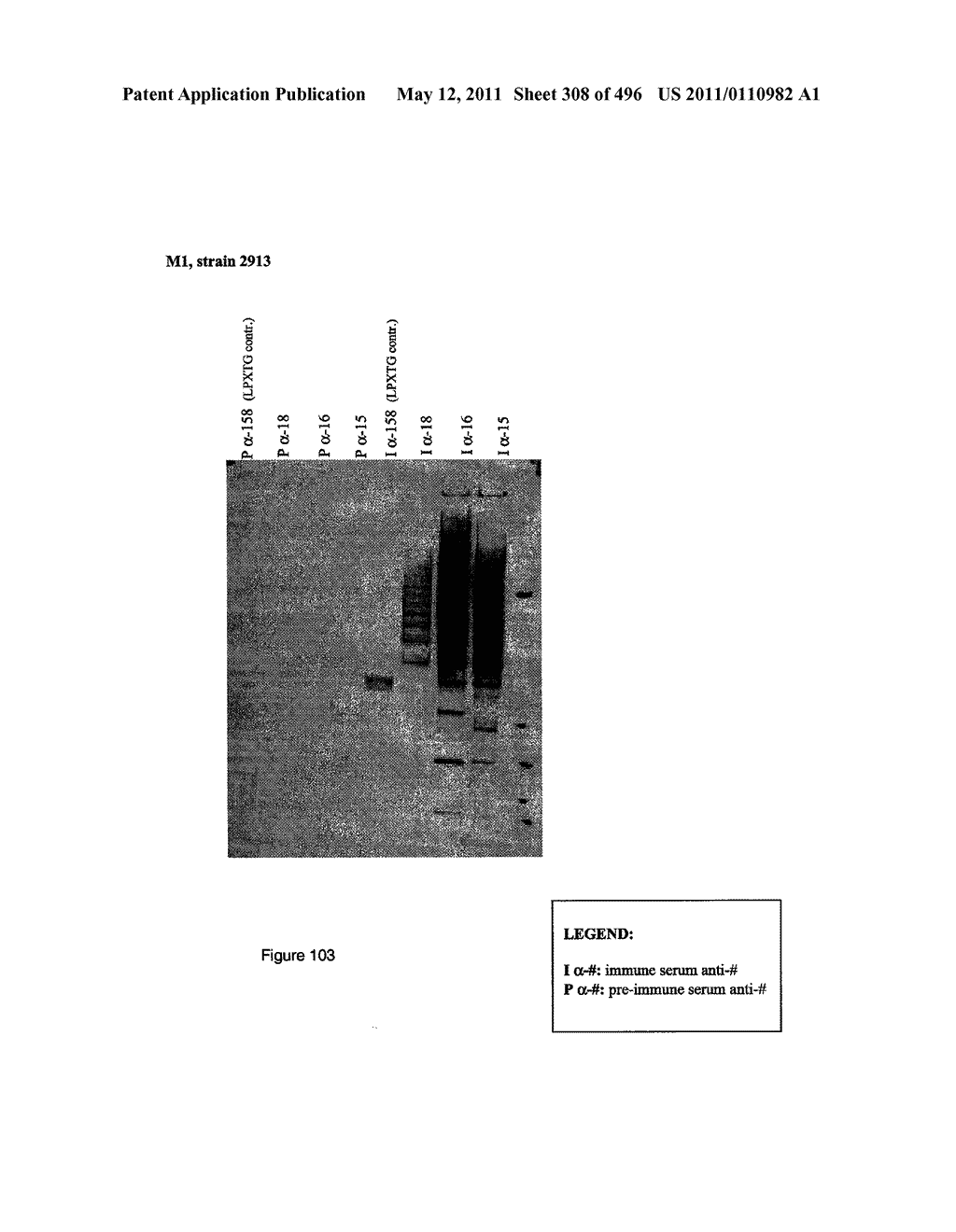 IMMUNOGENIC COMPOSITIONS FOR GRAM POSITIVE BACTERIA SUCH AS STREPTOCOCCUS AGALACTIAE - diagram, schematic, and image 309