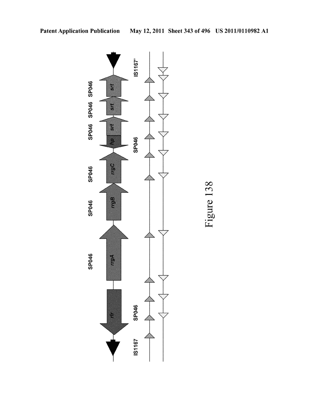 IMMUNOGENIC COMPOSITIONS FOR GRAM POSITIVE BACTERIA SUCH AS STREPTOCOCCUS AGALACTIAE - diagram, schematic, and image 344