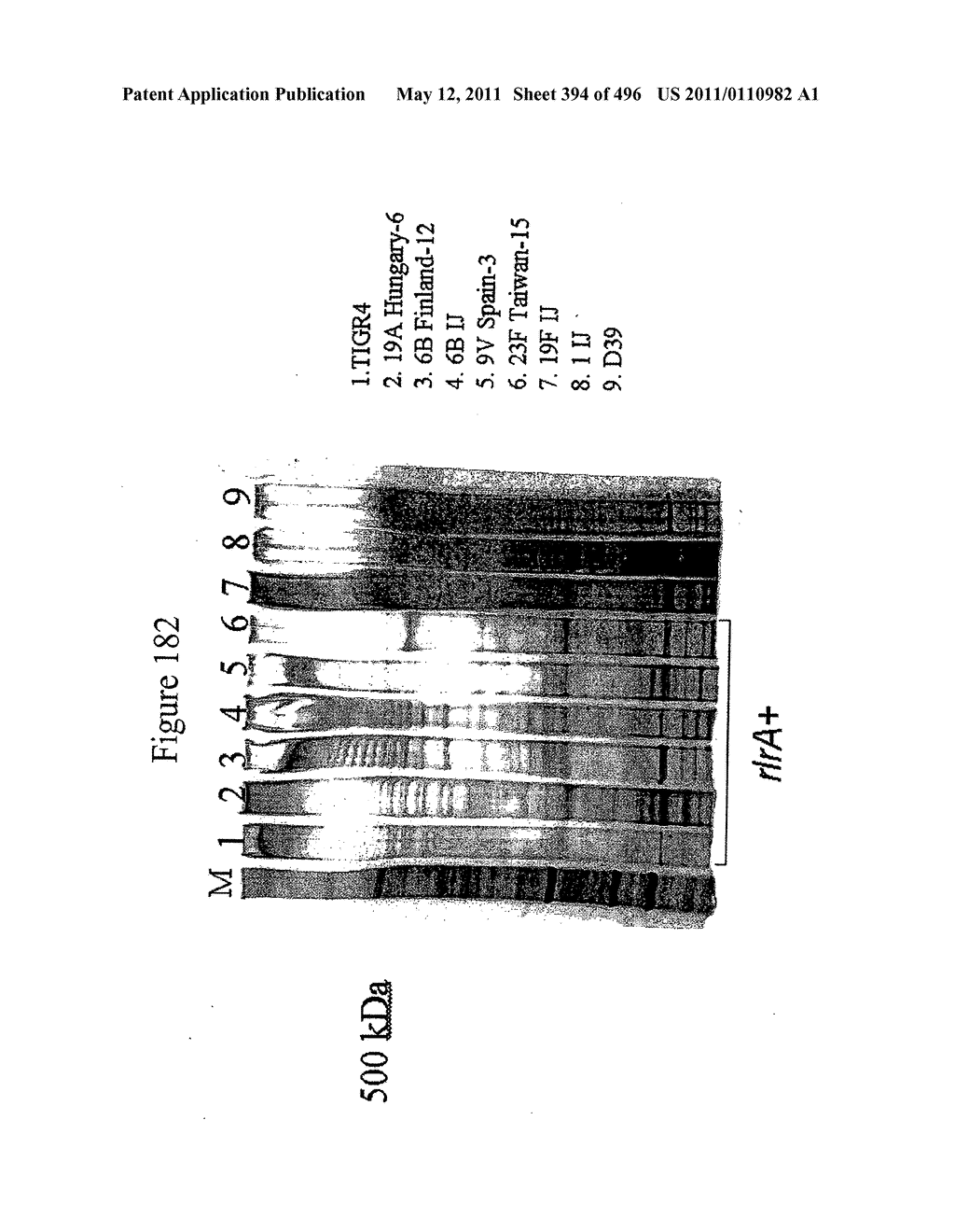 IMMUNOGENIC COMPOSITIONS FOR GRAM POSITIVE BACTERIA SUCH AS STREPTOCOCCUS AGALACTIAE - diagram, schematic, and image 395