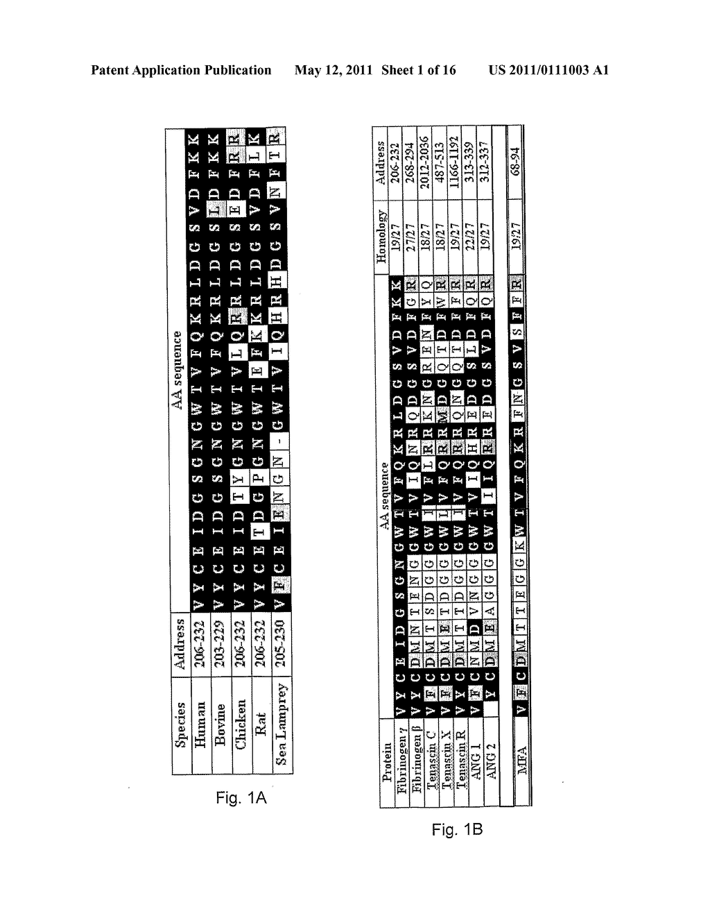 STABLE CELL BINDING CHIMERIC PEPTIDES - diagram, schematic, and image 02