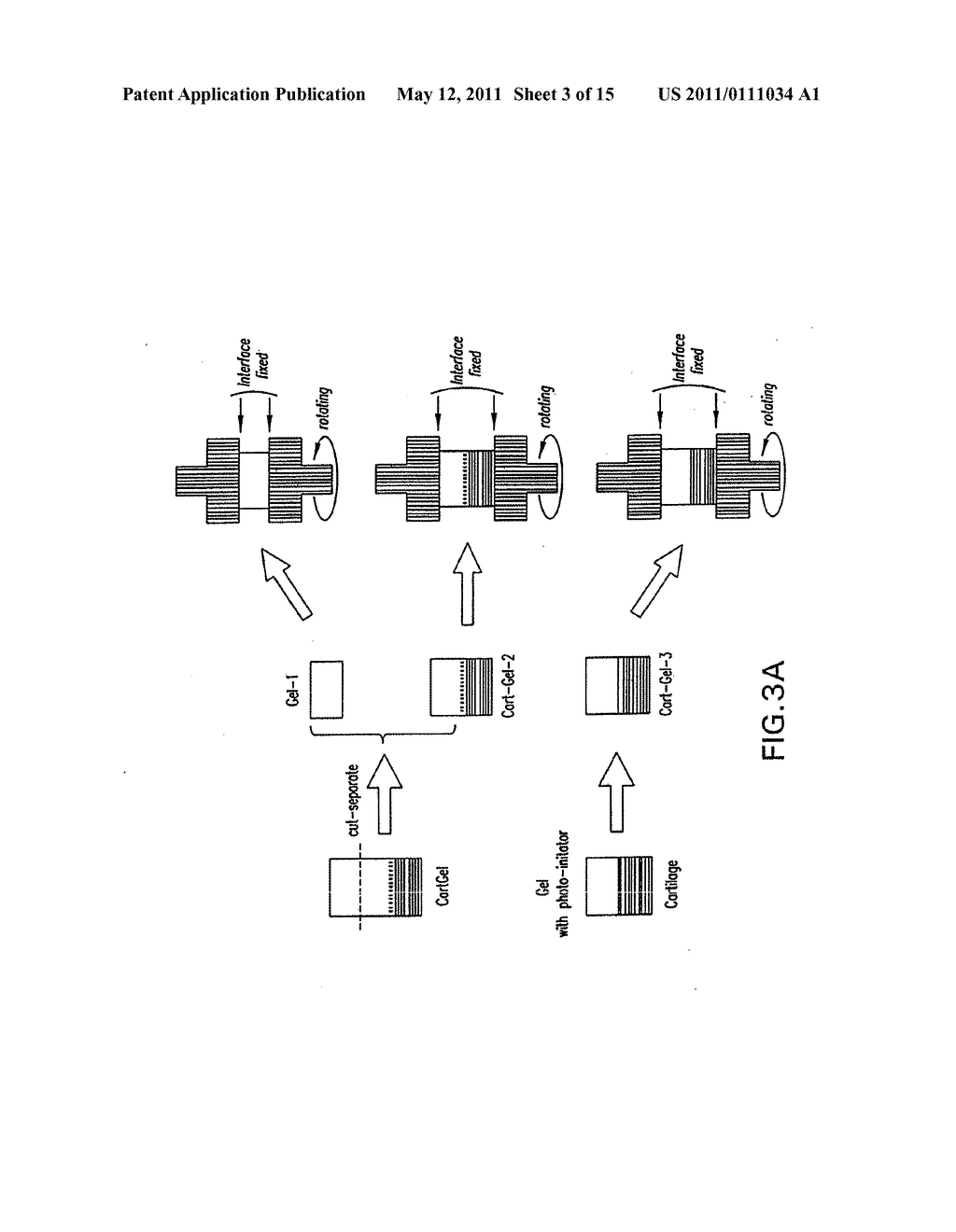 METHOD AND MATERIAL FOR ENHANCED TISSUE-BIOMATERIAL INTEGRATION - diagram, schematic, and image 04