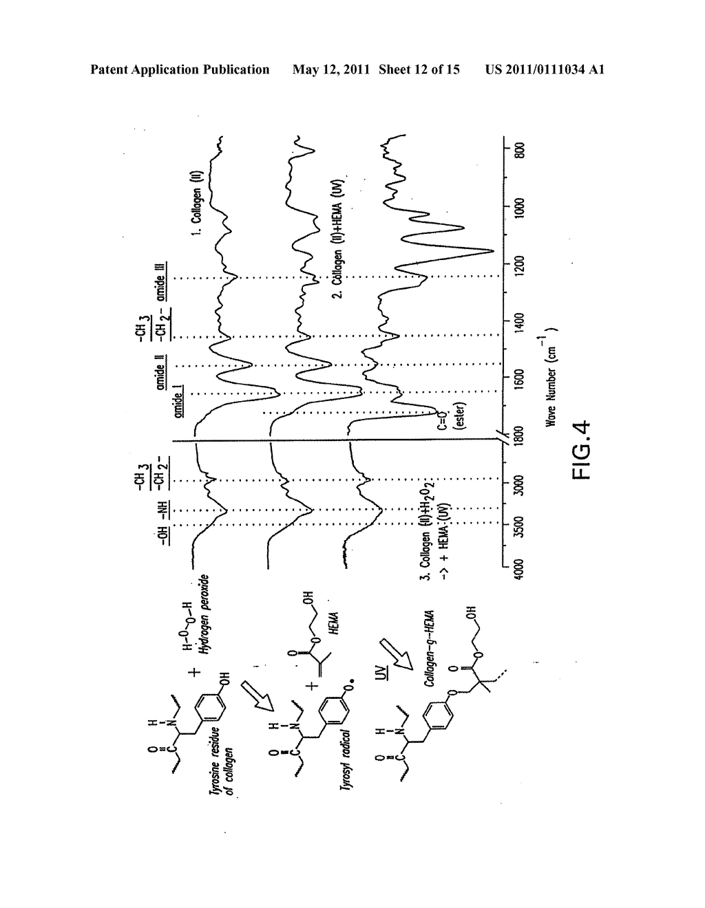 METHOD AND MATERIAL FOR ENHANCED TISSUE-BIOMATERIAL INTEGRATION - diagram, schematic, and image 13