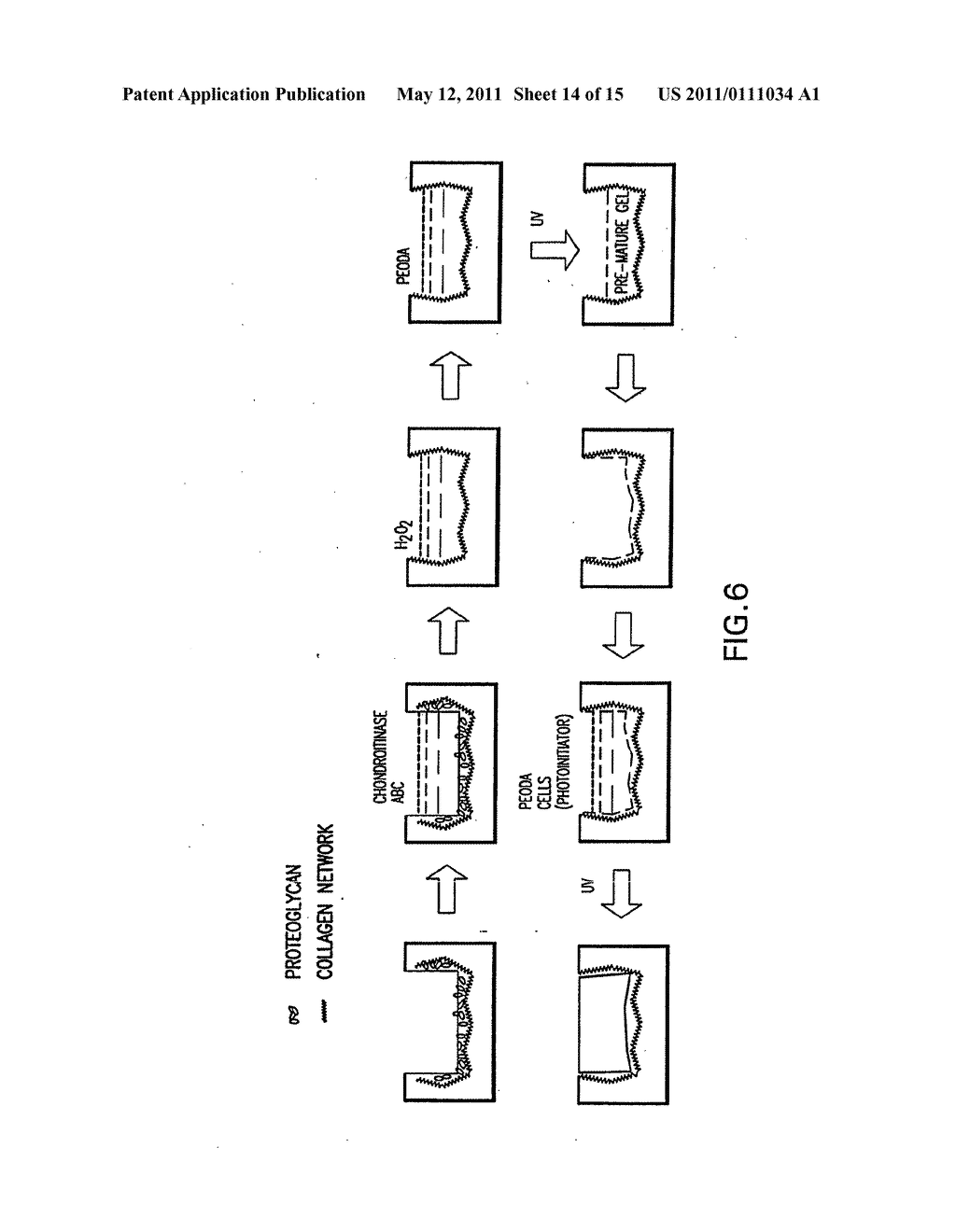 METHOD AND MATERIAL FOR ENHANCED TISSUE-BIOMATERIAL INTEGRATION - diagram, schematic, and image 15