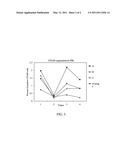 Herbal medicinal composition and herbal medicinal extract for inducing production of peripheral blood stem cells and method for preparing the same diagram and image