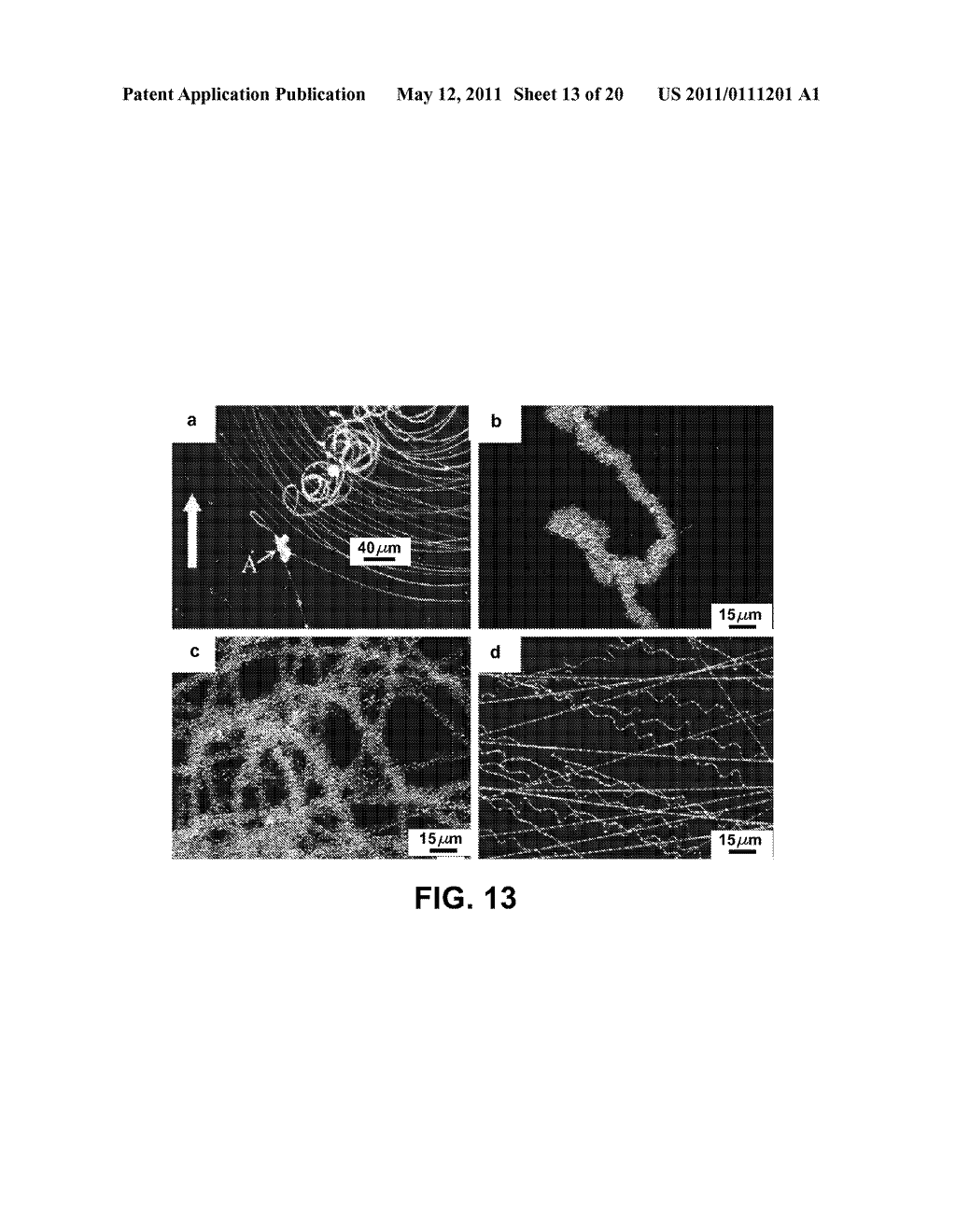 Method of making coiled and buckled electrospun fiber structures and uses for same - diagram, schematic, and image 14