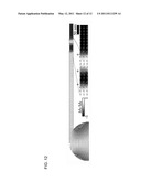 Low-Field Magnetic Domain Wall Injection Pad and High-Density Storage Wire diagram and image