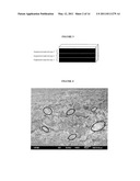 BINDER-FREE NANOCOMPOSITE MATERIAL AND METHOD OF MANUFACTURE diagram and image