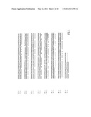 NUCLEIC ACID PROBE-BASED DIAGNOSTIC ASSAYS TARGETING SSRA GENES OF PROKARYOTIC AND EUKARYOTIC ORGANISMS diagram and image