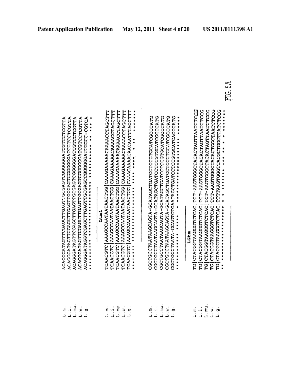 NUCLEIC ACID PROBE-BASED DIAGNOSTIC ASSAYS TARGETING SSRA GENES OF PROKARYOTIC AND EUKARYOTIC ORGANISMS - diagram, schematic, and image 05