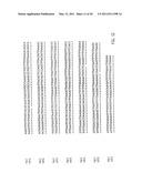 NUCLEIC ACID PROBE-BASED DIAGNOSTIC ASSAYS TARGETING SSRA GENES OF PROKARYOTIC AND EUKARYOTIC ORGANISMS diagram and image