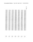 NUCLEIC ACID PROBE-BASED DIAGNOSTIC ASSAYS TARGETING SSRA GENES OF PROKARYOTIC AND EUKARYOTIC ORGANISMS diagram and image