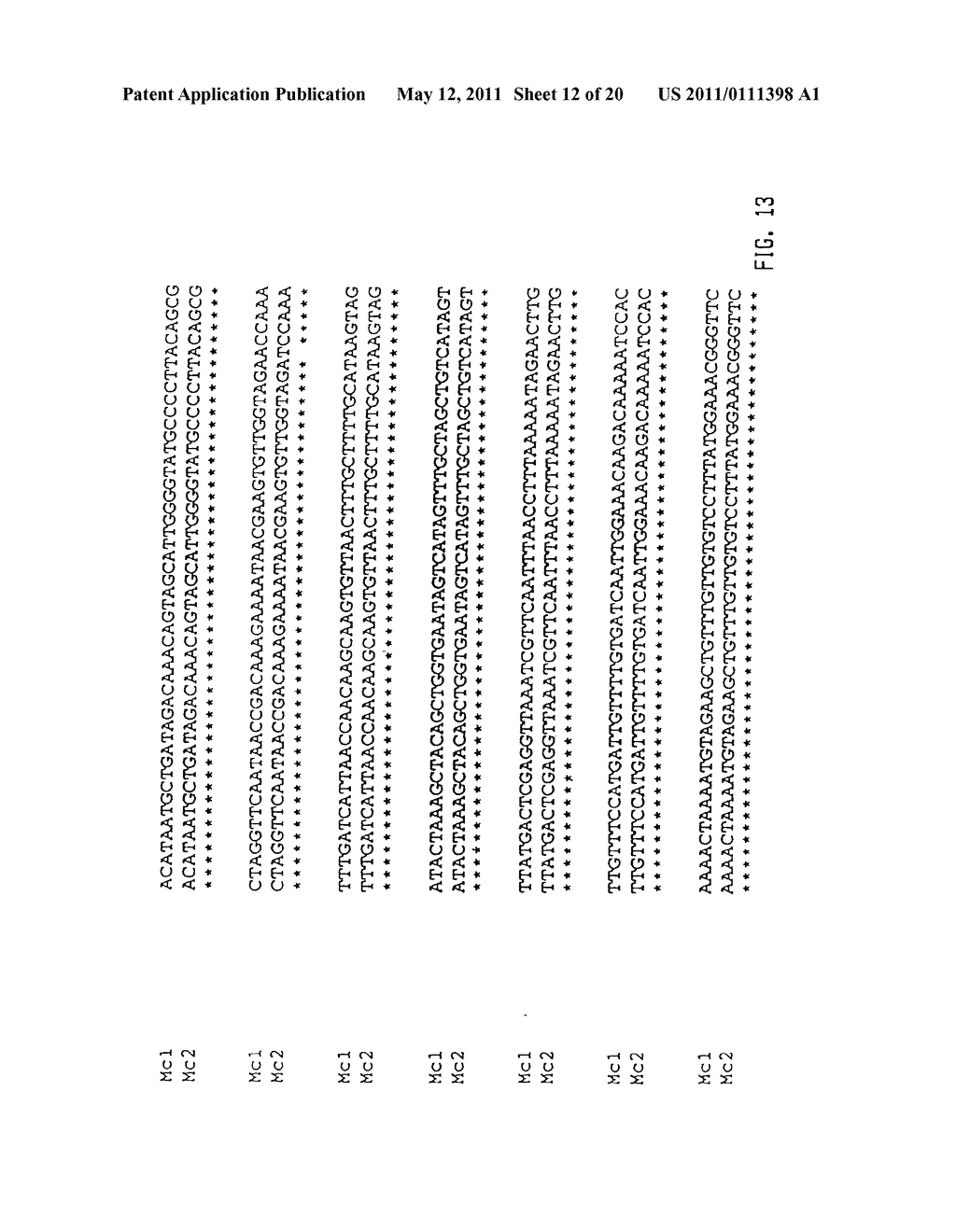 NUCLEIC ACID PROBE-BASED DIAGNOSTIC ASSAYS TARGETING SSRA GENES OF PROKARYOTIC AND EUKARYOTIC ORGANISMS - diagram, schematic, and image 13