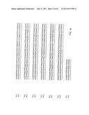 NUCLEIC ACID PROBE-BASED DIAGNOSTIC ASSAYS TARGETING SSRA GENES OF PROKARYOTIC AND EUKARYOTIC ORGANISMS diagram and image