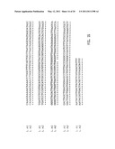 NUCLEIC ACID PROBE-BASED DIAGNOSTIC ASSAYS TARGETING SSRA GENES OF PROKARYOTIC AND EUKARYOTIC ORGANISMS diagram and image