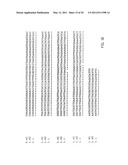 NUCLEIC ACID PROBE-BASED DIAGNOSTIC ASSAYS TARGETING SSRA GENES OF PROKARYOTIC AND EUKARYOTIC ORGANISMS diagram and image