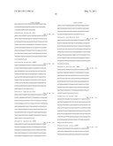 NUCLEIC ACID PROBE-BASED DIAGNOSTIC ASSAYS TARGETING SSRA GENES OF PROKARYOTIC AND EUKARYOTIC ORGANISMS diagram and image